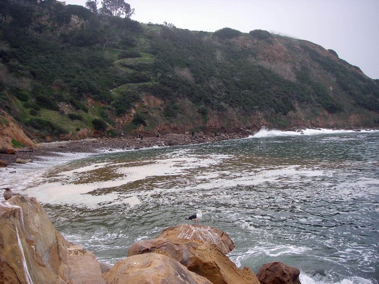 imgp0010.jpg