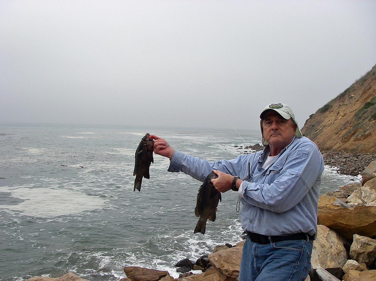 Mike Dufish caught 2 3-taco opaleye at Palos Verdes during high surf event and six-foot tide 1/25/2020