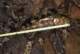 imgp0001_small.jpg