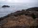 imgp0007_small.jpg