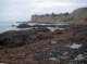 imgp0008_small.jpg