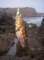 imgp0010_small.jpg