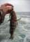 imgp0018_small.jpg