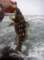 imgp0019_small.jpg