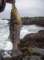 imgp0021_small.jpg