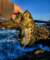 wl4220003_small.jpg