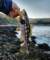 wl4220004_small.jpg