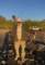imga6634_small.jpg