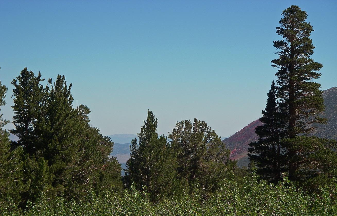 imgp0002.jpg