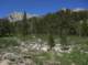 imgp0005_small.jpg
