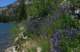 imgp0016_small.jpg
