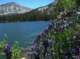 imgp0017_small.jpg