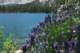 imgp0018_small.jpg