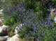 imgp0019_small.jpg