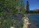 imgp0021_small.jpg