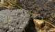 imgp0027_small.jpg
