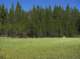 imgp0029_small.jpg