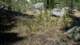 imgp0034_small.jpg
