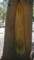 imgp0039_small.jpg