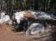 imgp0048_small.jpg