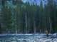 imgp0051_small.jpg