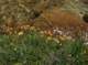 imgp0097_small.jpg