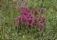 imgp0104_small.jpg