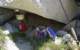 imgp0110_small.jpg