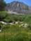 imgp0113_small.jpg