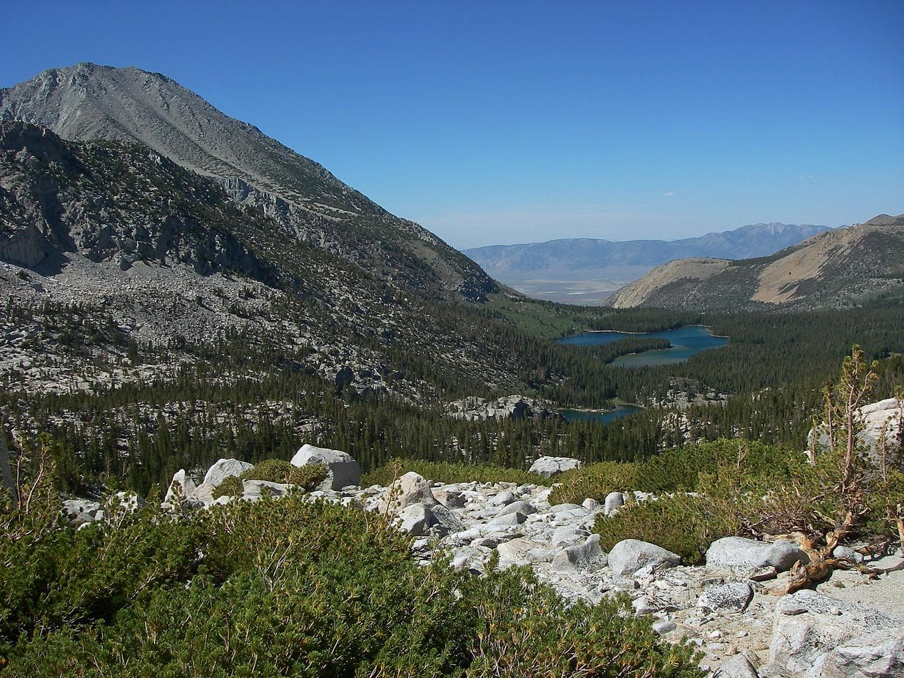 imgp0115.jpg
