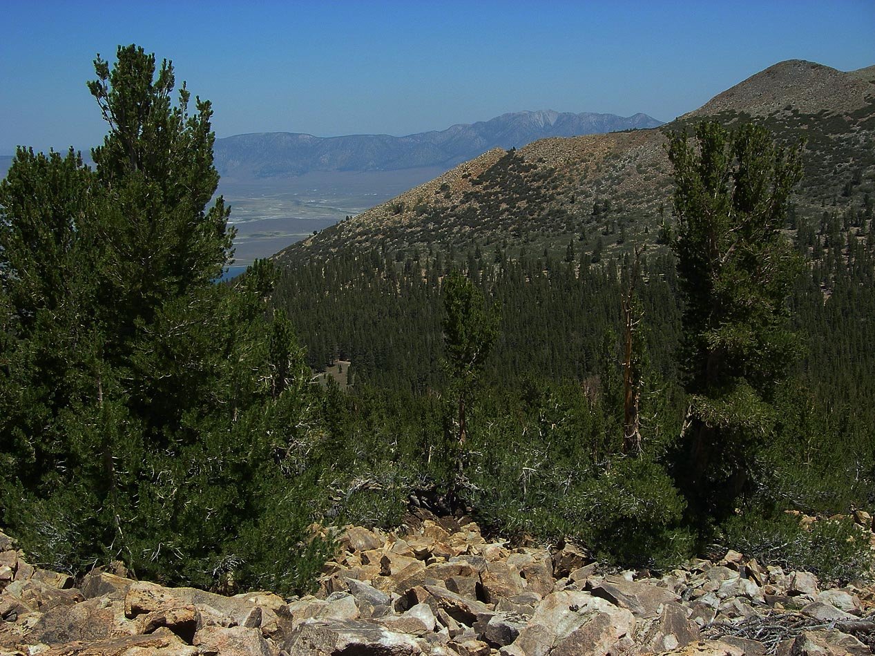 imgp0143.jpg
