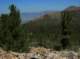 imgp0143_small.jpg