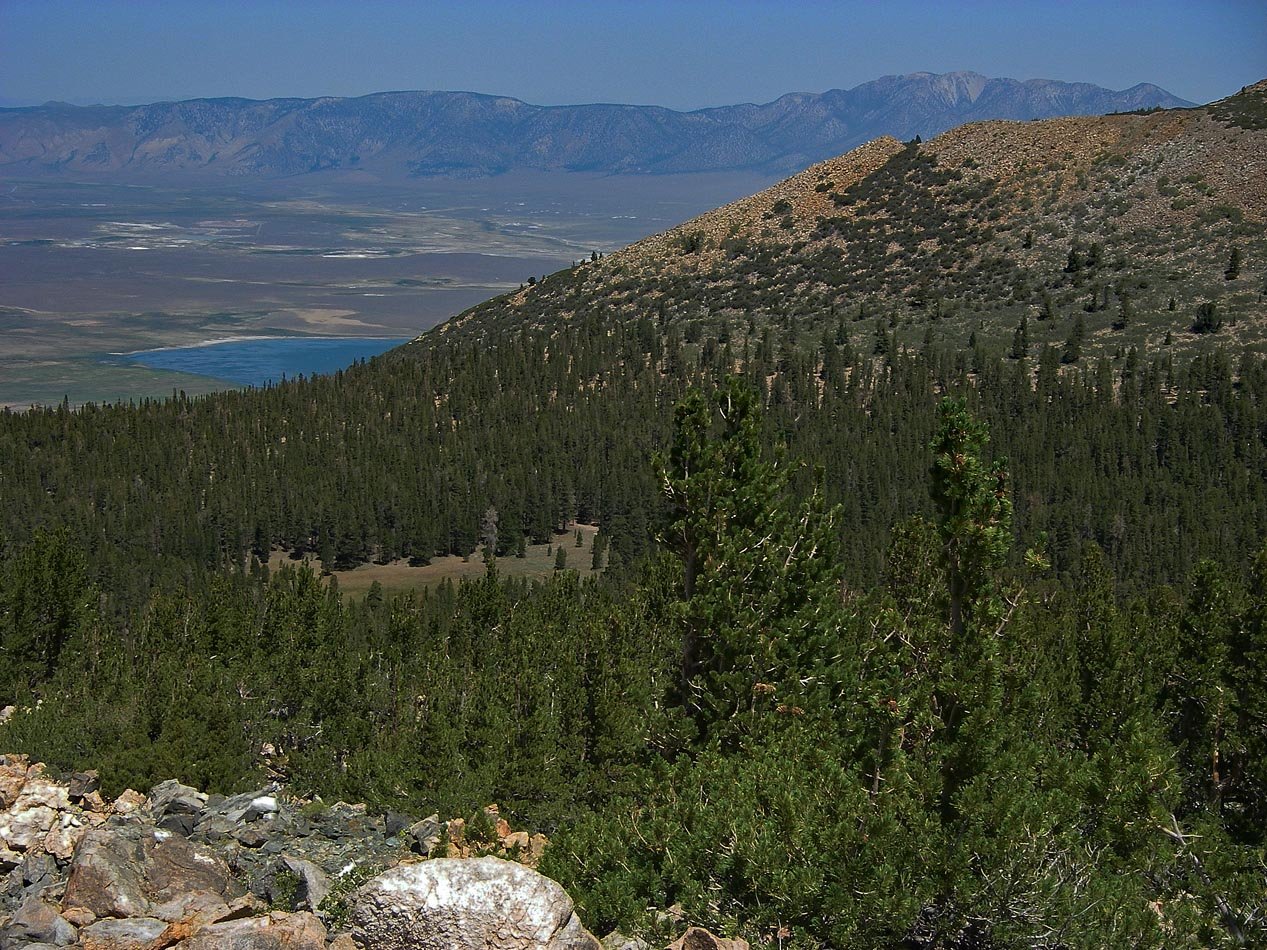imgp0145.jpg