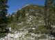 imgp0156_small.jpg