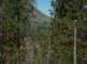 imgp0168_small.jpg