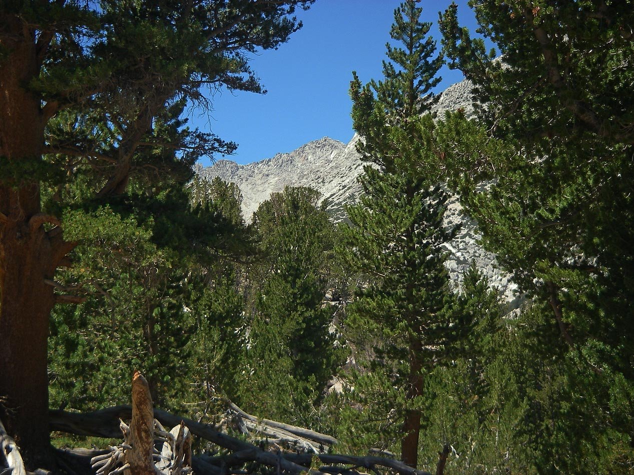 imgp0170.jpg
