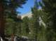 imgp0170_small.jpg