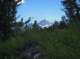 imgp0176_small.jpg