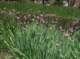 imgp0034_small.jpg
