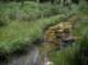 imgp0038_small.jpg