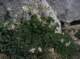 imgp0044_small.jpg