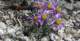 imgp0060_small.jpg