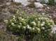 imgp0070_small.jpg