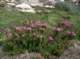 imgp0072_small.jpg