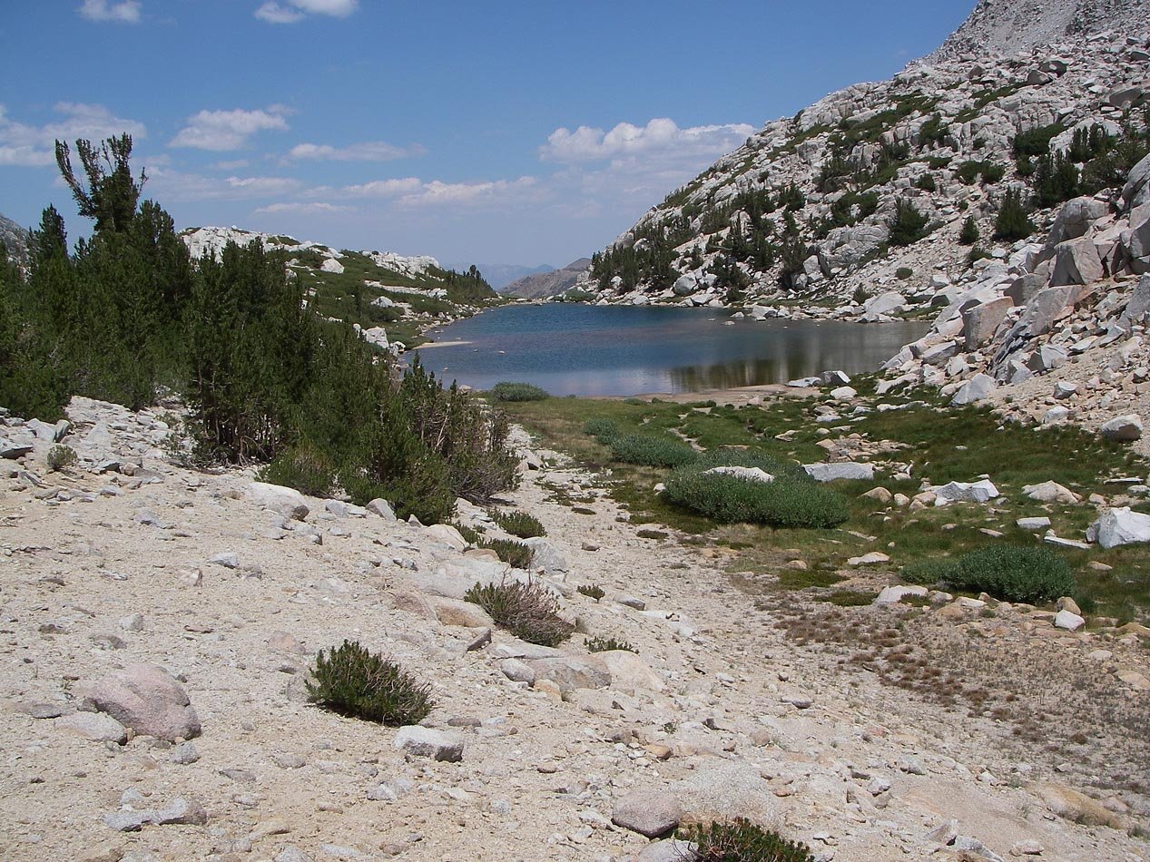 imgp0077.jpg