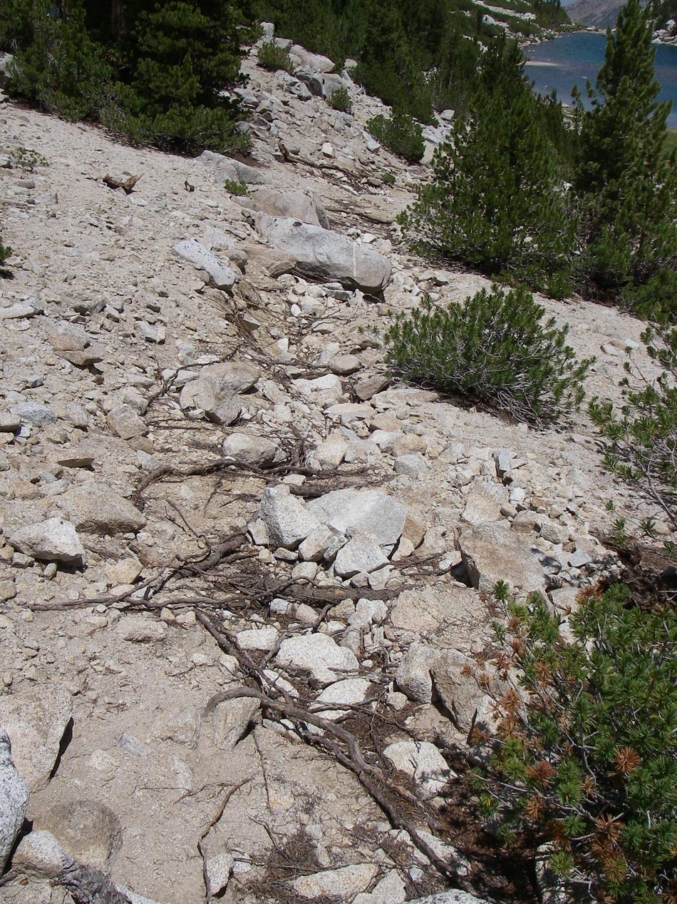 imgp0078.jpg