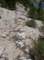 imgp0078_small.jpg