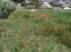imgp0086_small.jpg