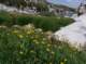 imgp0089_small.jpg
