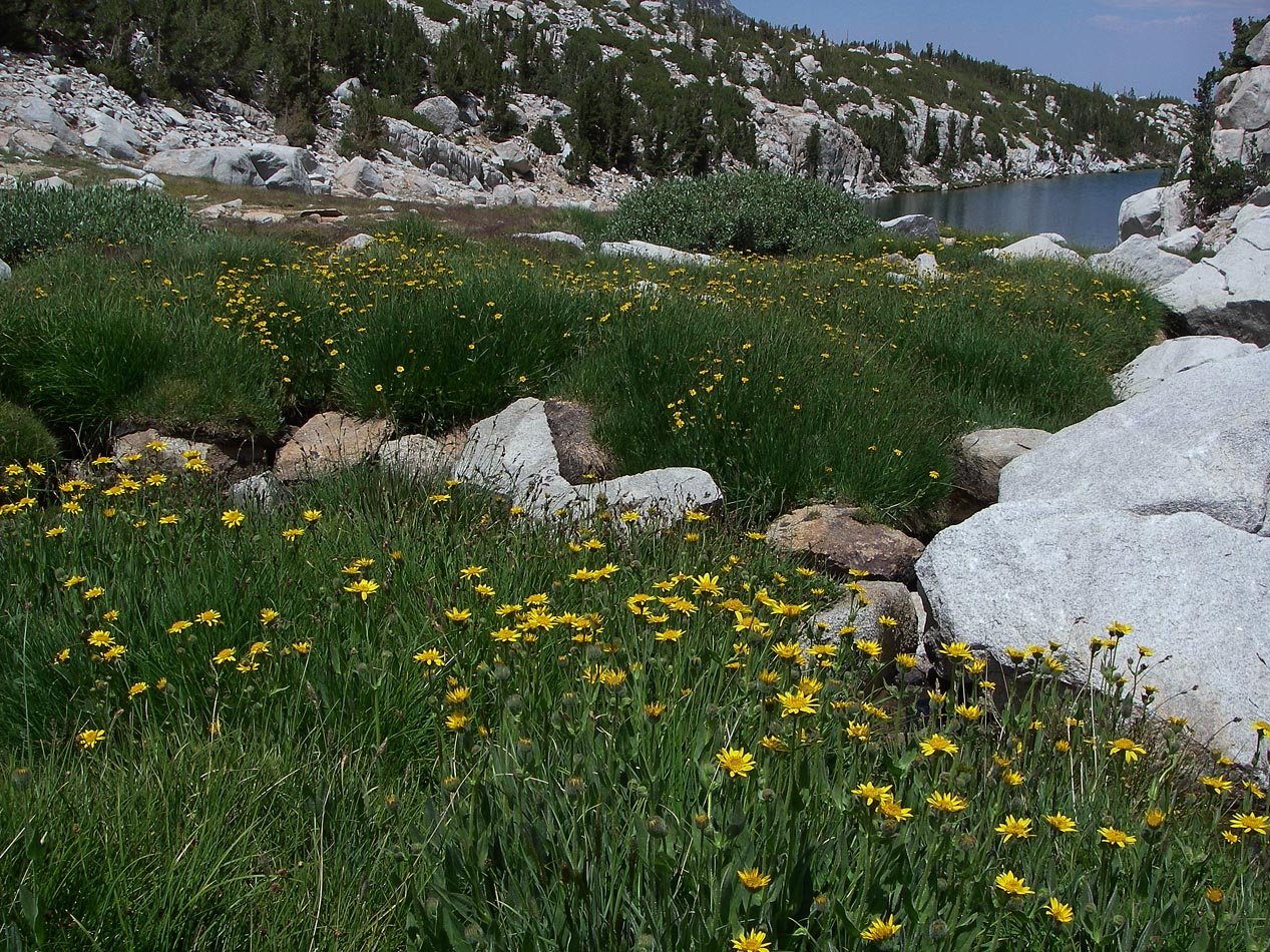 imgp0090.jpg